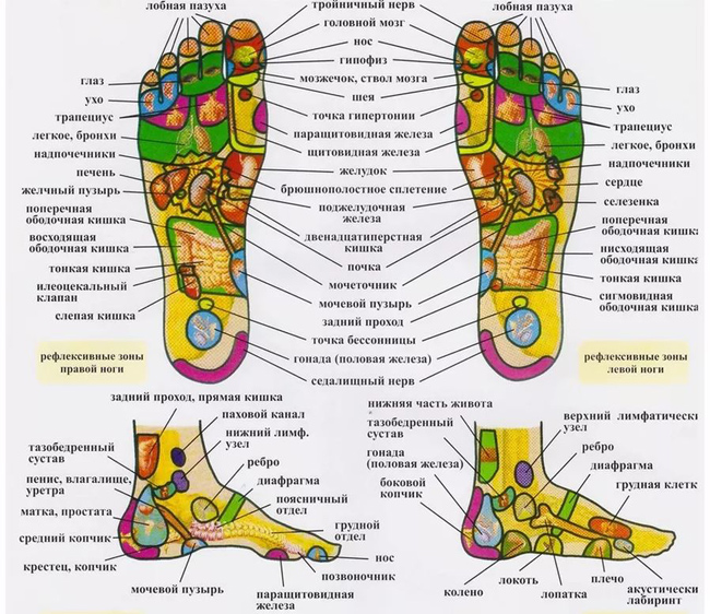 Акупунктурные точки массажа на которые воздействует массажер для ступней ног LymphaNorm Foot Master