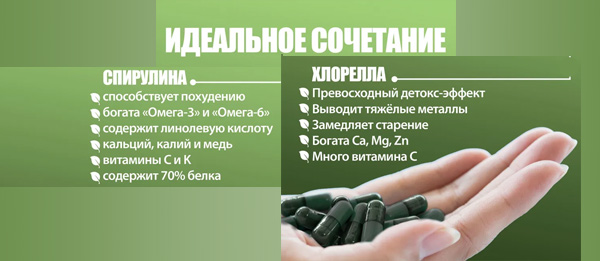 Идеальное сочетание спирулины и хлореллы 50% + 50% в интернет-магазине Зелёное колесо
