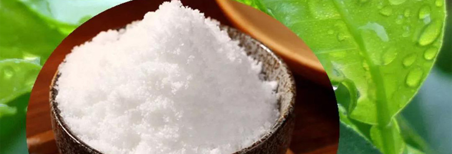 Здоровое питание Суперфуды / Заменители сахара (сахарозаменители)